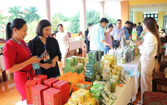 Chương trình khuyến công quốc gia hỗ trợ phát triển bền vững chương trình OCOP