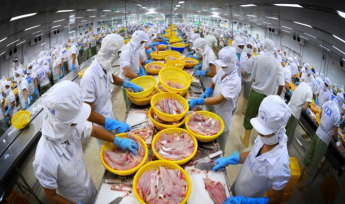 7 tháng, xuất khẩu thủy sản sang Bỉ tăng 74,32%