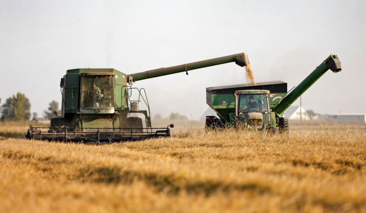 Giá ngũ cốc trên sàn CBOT đồng loạt tăng khi nhu cầu ngũ cốc trên toàn cầu ở mức tốt