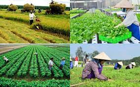 Một số giải pháp hoàn thiện khung chính sách cung ứng dịch vụ công phục vụ sản xuất nông nghiệp