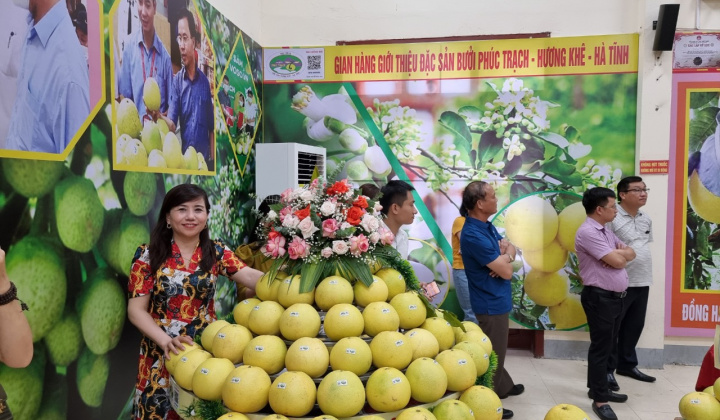 Kết nối tiêu thụ bưởi Phúc Trạch qua kênh thương mại điện tử