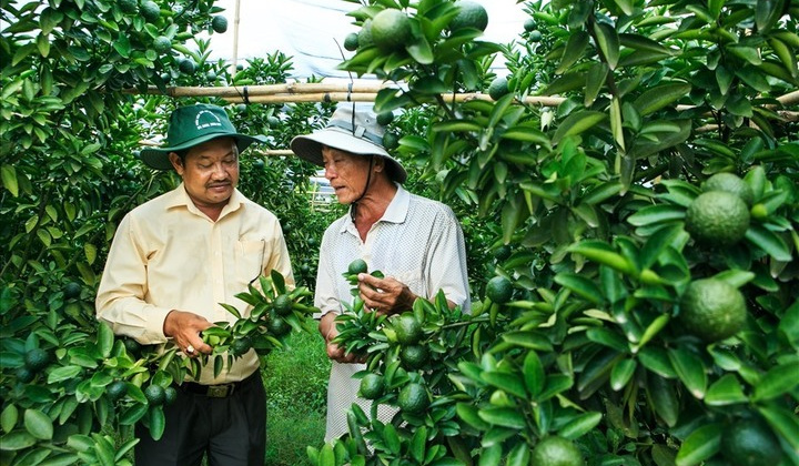 Huyện Bắc Tân Uyên (Bình Dương):  Đột phá mới trong phát triển kinh tế - xã hội
