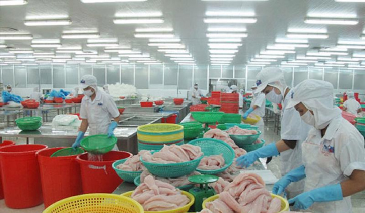Xuất khẩu thủy sản tháng 8/2022 trở lại mức 1 tỷ USD