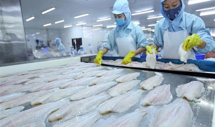 Giá cá tra đông lạnh Việt Nam nhập khẩu vào Mỹ tăng 56%