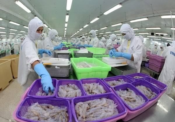8 tháng, xuất khẩu tôm cán mốc 3 tỷ USD