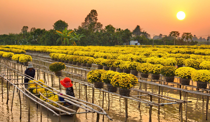 Đồng Tháp: Công tác khuyến công góp phần tăng thu nhập cho người dân