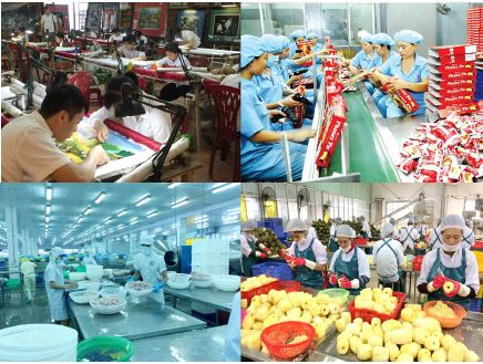 Kinh tế tư nhân vùng Đông Nam Bộ: Cơ hội, thách thức và xu hướng vận động phát triển