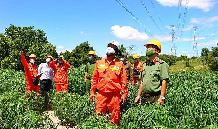 EVN đảm bảo điện ổn định, an toàn trong Lễ Quốc khánh 2/9