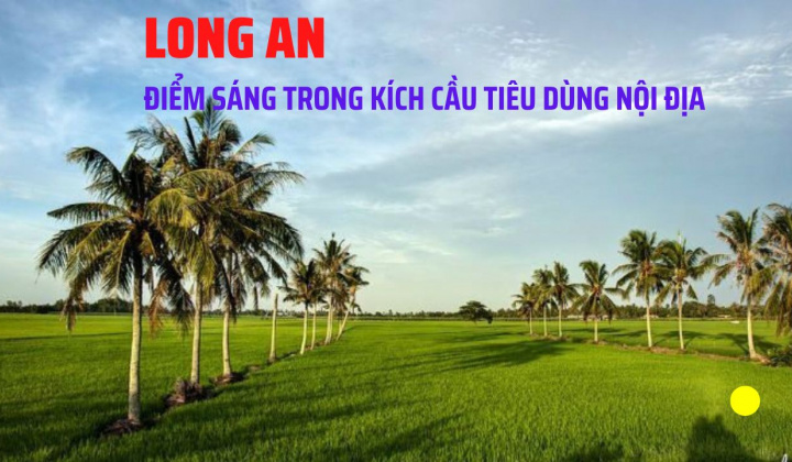Long An sáng tạo trong kích cầu tiêu dùng nội địa