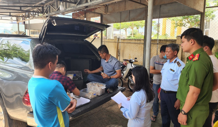 QLTT Gia Lai tạm giữ trên 4.200 sản phẩm trang sức không rõ nguồn gốc xuất xứ