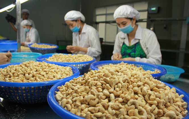 VINACAS: Đặt mục tiêu xuất khẩu 3,1 tỷ USD năm 2023