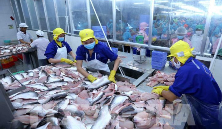 Năm 2023, doanh nghiệp cá tra linh hoạt điều chỉnh thị trường xuất khẩu