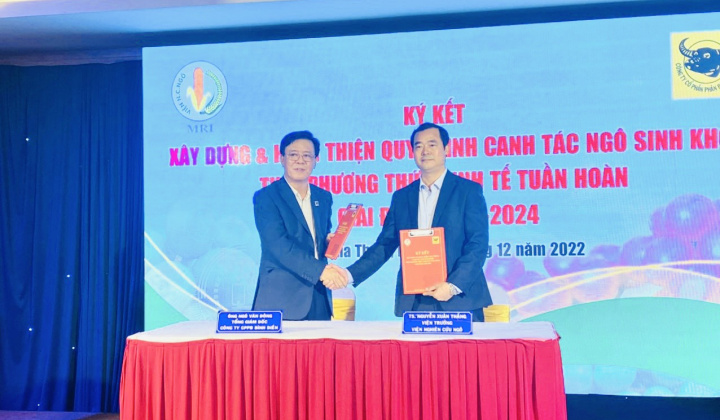 Bình Điền bắt tay hợp tác xây dựng, hoàn thiện quy trình canh tác ngô sinh khối