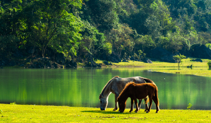 Thảo nguyên Đồng Lâm: “Mông Cổ thu nhỏ” giữa lòng xứ Lạng