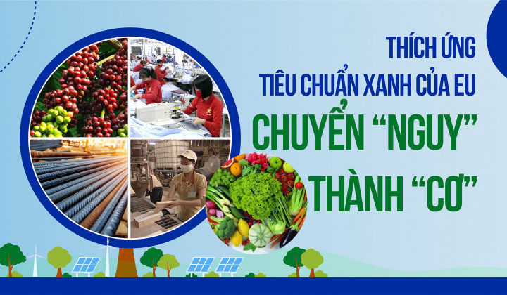 Thích ứng tiêu chuẩn Xanh của EU: Chuyển “Nguy” thành “Cơ”