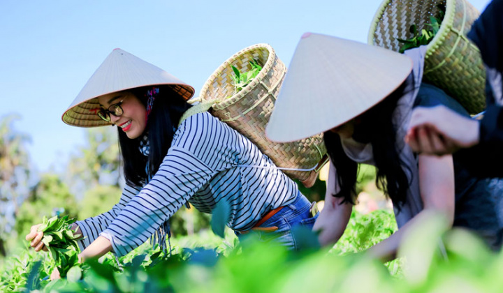 Xây dựng mô hình nghiên cứu các nhân tố ảnh hưởng tới lòng trung thành điểm đến của khách du lịch tại các điểm đến du lịch nông nghiệp ở Việt Nam