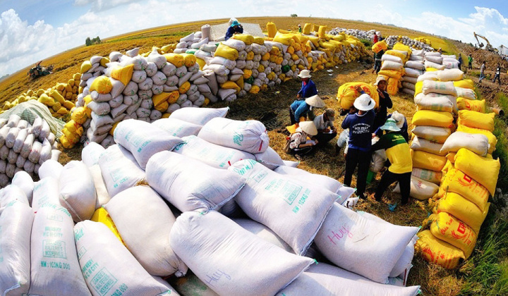 Indonesia chọn Việt Nam và Thái Lan để nhập khẩu thêm 1,5 triệu tấn gạo