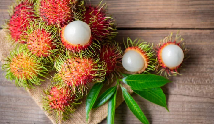 New Zealand dự kiến nới lỏng kiểm dịch thực vật với một số trái cây Việt Nam