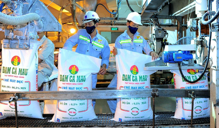 Đạm Cà Mau (DCM): Doanh thu quý 3 ước đạt 9.500 tỷ, lãi ròng năm 2024 có thể tăng 61%