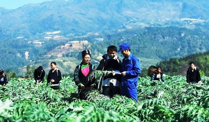 Gắn sản xuất với thương hiệu cho sản phẩm vùng đồng bào dân tộc thiểu số và miền núi