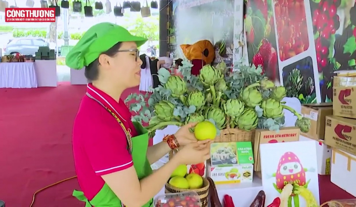 Những quyết sách của Chương trình phát triển thương mại miền núi, hải đảo