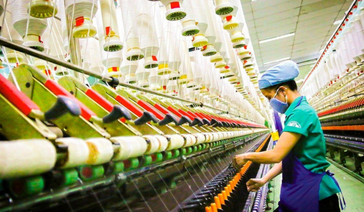 Hỗ trợ doanh nghiệp dệt may đáp ứng biện pháp kiểm tra theo Lệnh 259 của Trung Quốc