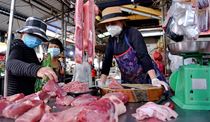 Giá heo hơi hôm nay 18/10: Giá tại miền Bắc đã về mức hồi đầu tháng 3/2023