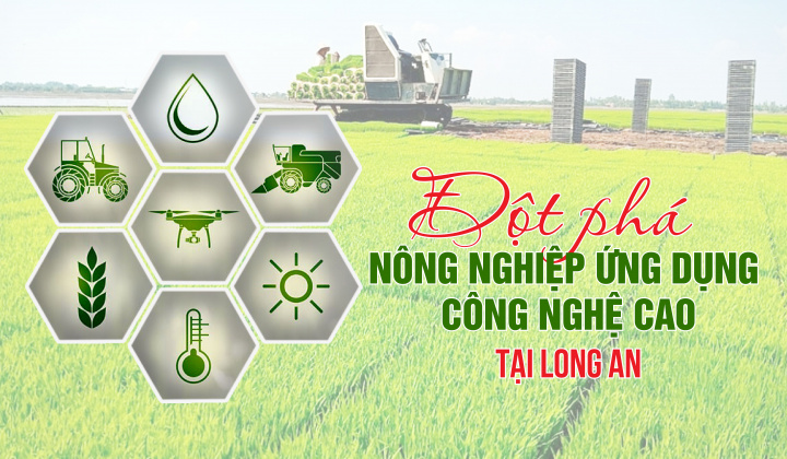Đột phá nông nghiệp ứng dụng công nghệ cao tại Long An