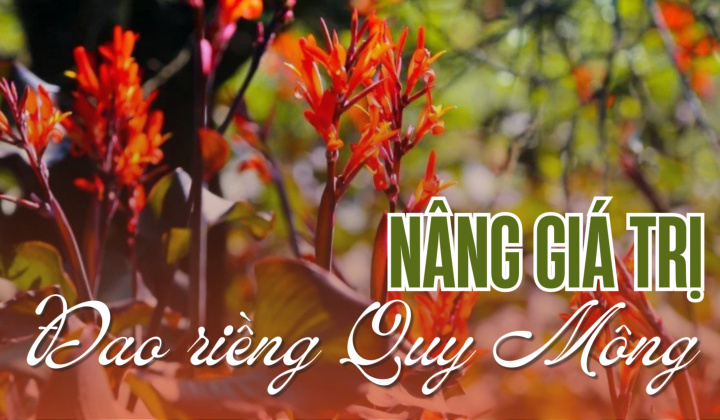 Nâng giá trị đao riềng Quy Mông