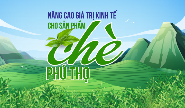 Nâng cao giá trị kinh tế cho sản phẩm chè Phú Thọ