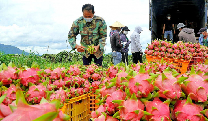 Long An: Sắp diễn ra Hội nghị Kết nối giao thương, xúc tiến xuất khẩu