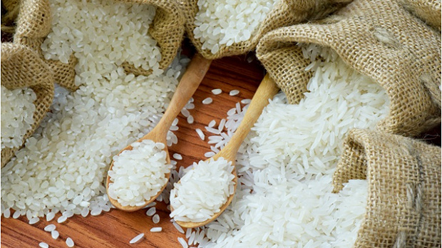 Dự kiến hạn ngạch nhập khẩu gạo, lá thuốc lá khô từ Campuchia năm 2023 và 2024