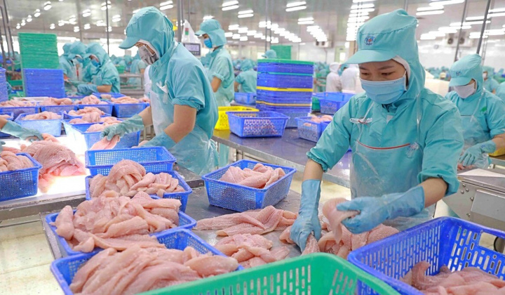 Bận tiếp phái đoàn Mỹ, Thuỷ sản Vĩnh Hoàn (VHC) xin lùi hạn nộp BCTC quý 3/2023