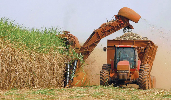 Thành Thành Công (SBT): Dự báo giá đường trong nước năm sau sẽ tiếp tục tăng nhẹ