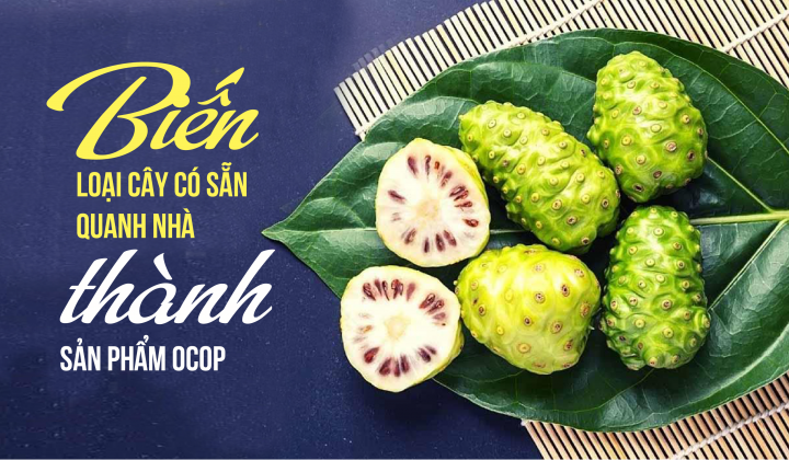 Biến loại cây có sẵn quanh nhà thành sản phẩm OCOP