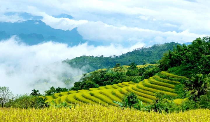 Khuổi My vào mùa lúa chín – Hoàng Su Phì thứ hai của Hà Giang