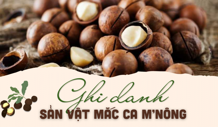 Ghi danh sản vật Mắc ca M’Nông