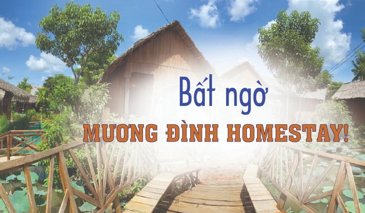 Bất ngờ Mương Đình homestay!