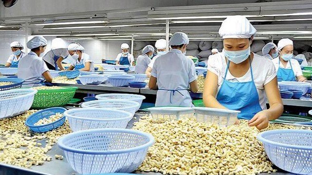 Xuất khẩu hạt điều ghi nhận mức cao kỷ lục mới