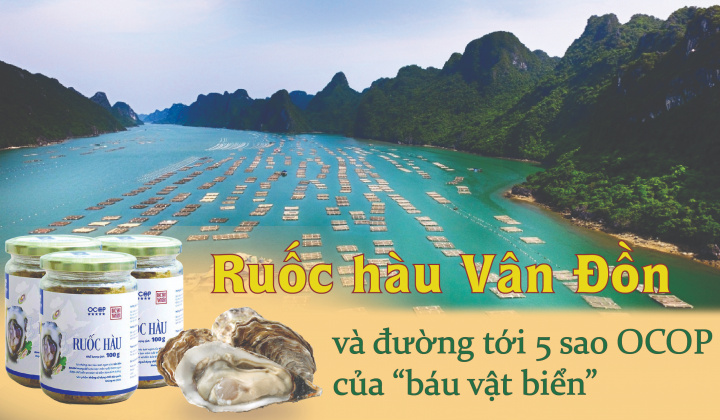 Ruốc hàu Bavabi và đường tới 5 sao OCOP của "báu vật biển"