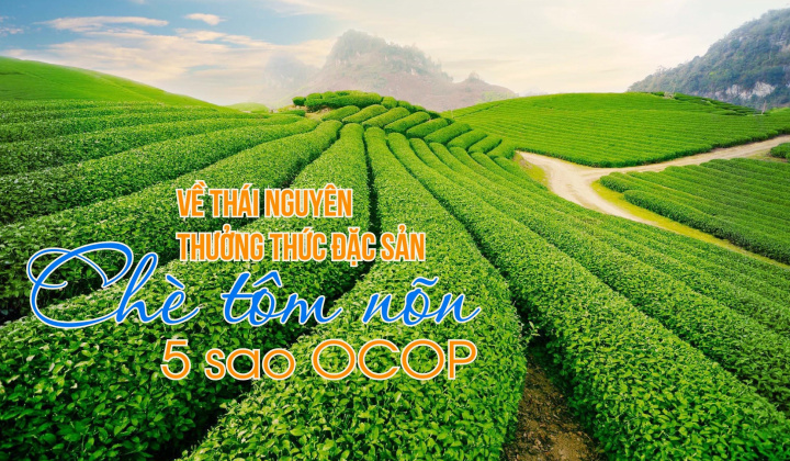 Về Thái Nguyên thưởng thức đặc sản chè tôm nõn 5 sao OCOP