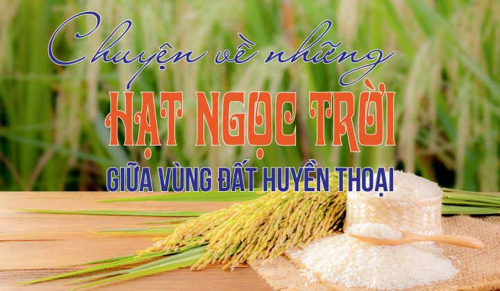 Chuyện về những Hạt ngọc trời giữa vùng đất huyền thoại