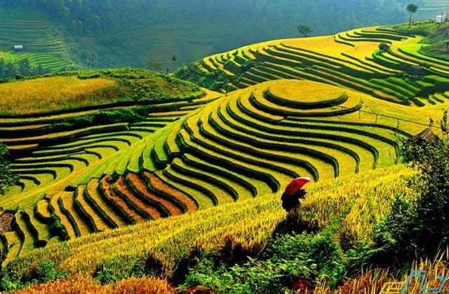Điện Biên hỗ trợ đào tạo nghề cho bà con các dân tộc
