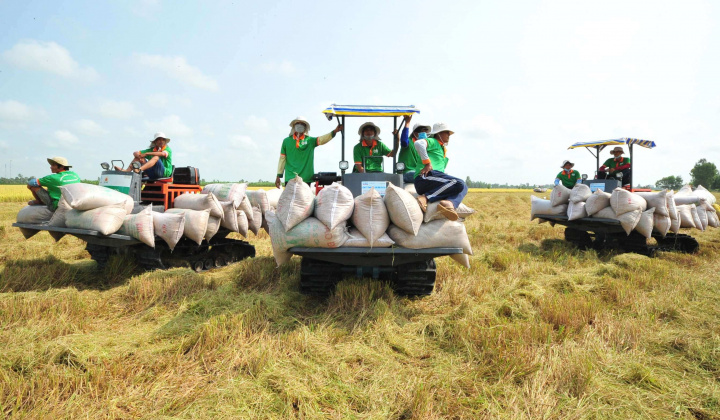 Hỗ trợ đưa gạo Việt Nam thâm nhập sâu vào thị trường Trung Quốc