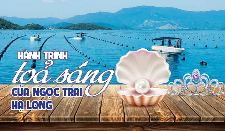 Hành trình toả sáng của Ngọc trai Hạ Long