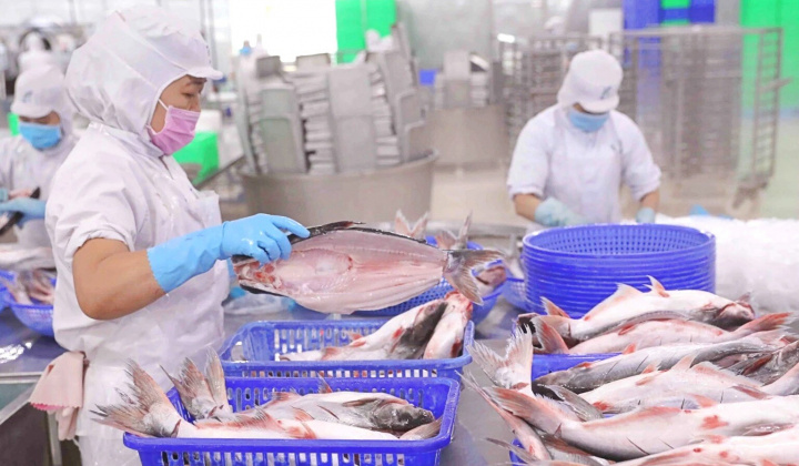 Ủy ban Chứng khoán không chấp nhận lý do chậm nộp BCTC của Thuỷ sản Vĩnh Hoàn (VHC)