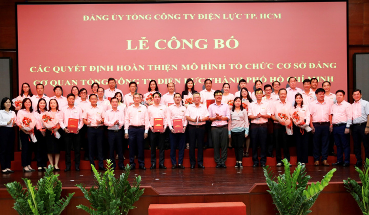 Hoàn thiện mô hình tổ chức cơ sở đảng Cơ quan Tổng công ty Điện lực TP.HCM