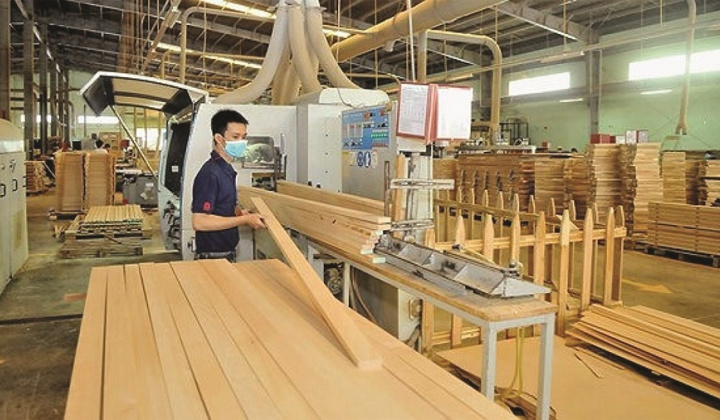 HawaExpo 2023 - Cú hích xúc tiến thương mại cho ngành chế biến gỗ Việt Nam