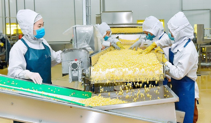 Năm 2022, ngành Công Thương Gia Lai phục hồi và tăng trưởng cao