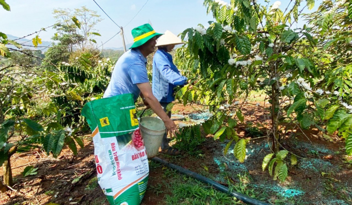 Bình Điền khởi động Chương trình canh tác cà phê thông minh tại Tây Nguyên